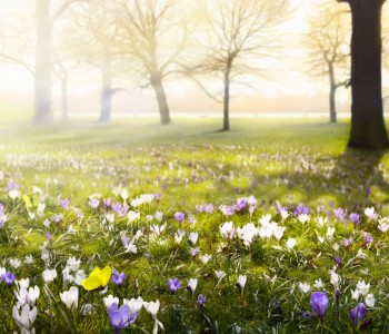 1 Woche relaxen im Herzen des Vogelsberges, jetzt 15% Rabatt