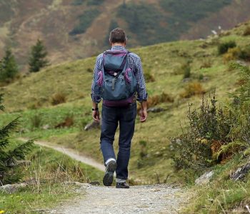 Wandern im Vogelsberg